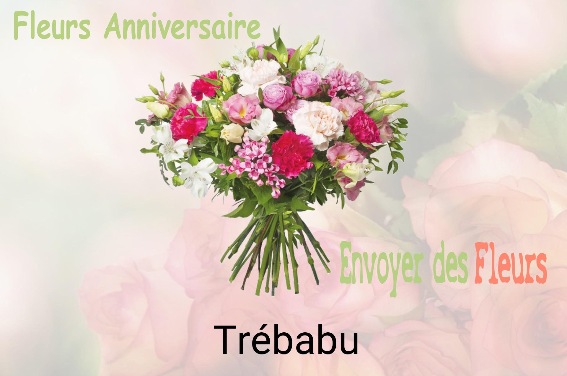 Bouquet de fleurs d’anniversaire livré à Trébabu