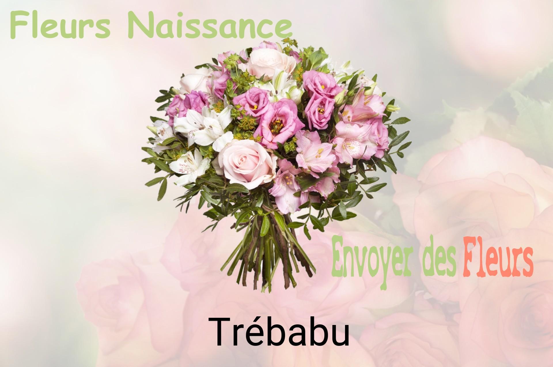 Bouquet de fleurs de naissance livré à Trébabu
