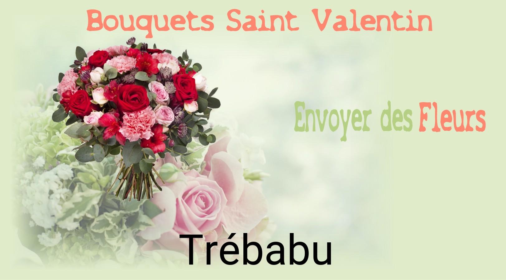 Roses de Saint-Valentin livrées à Trébabu