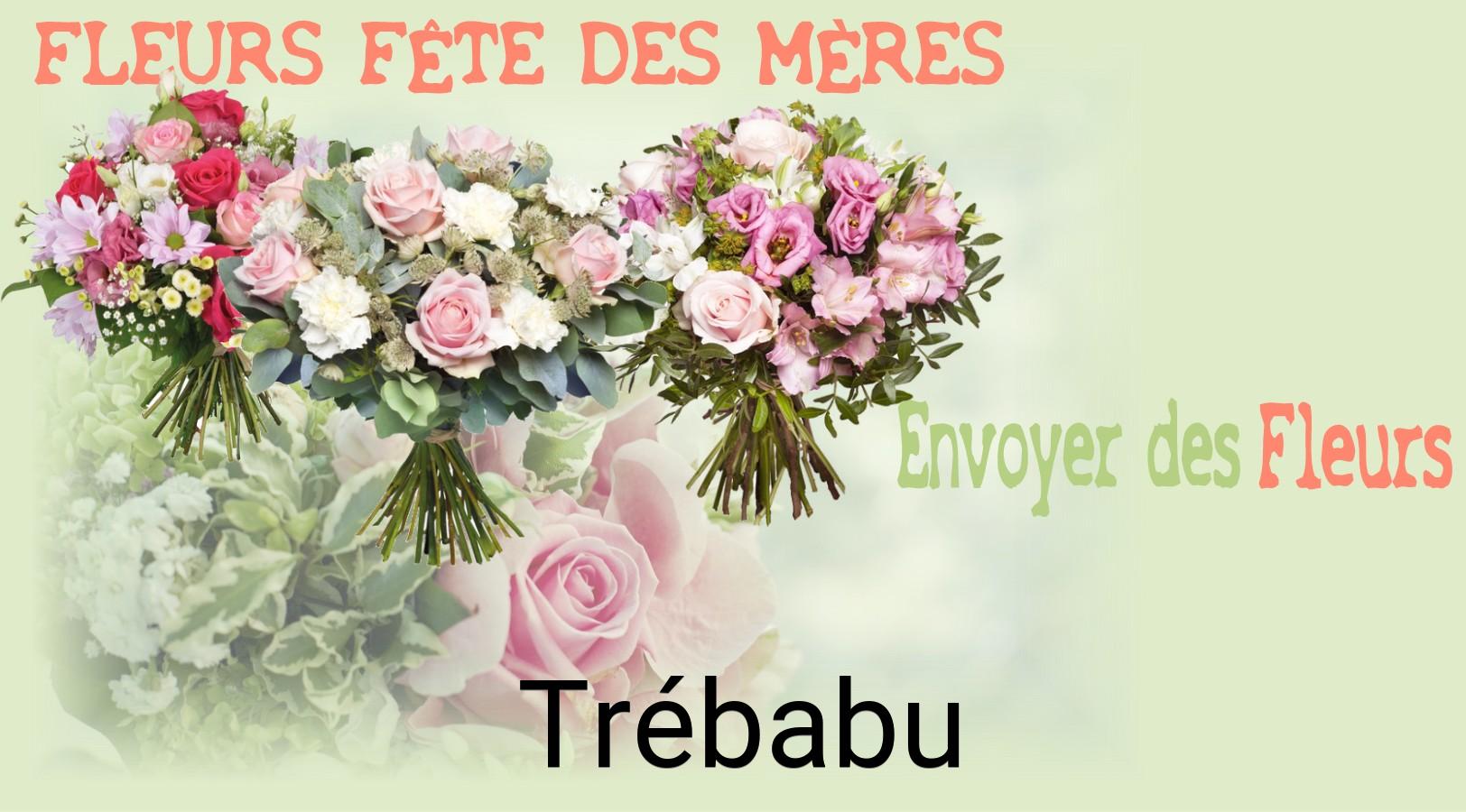 Bouquet de Fête des Mères livré à Trébabu